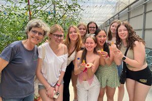 Tomaten frisch geerntet