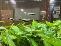 Kurz vor 17.15 Uhr herrscht noch Ruhe vor dem Aquarium (Foto: Dg)