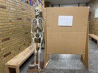 Immer wieder lustig: Der Türsteher vor dem Biologieraum. (Foto: Dg)